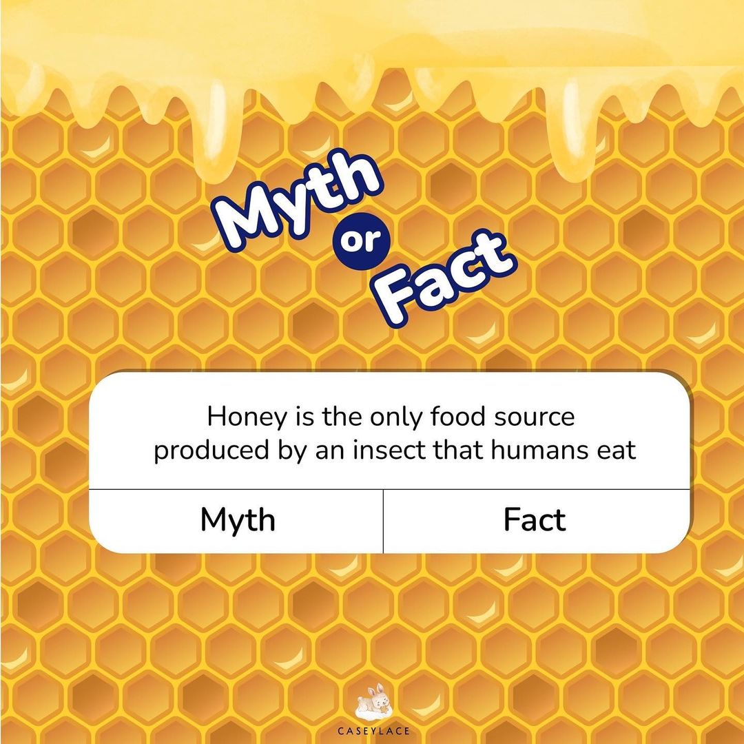 Honey is the only food source produced by an insect that human eat